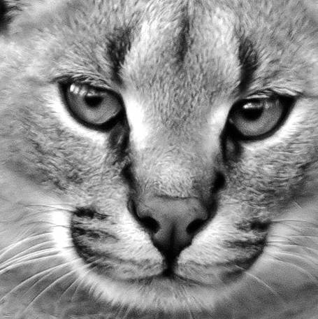 Любовь23931403