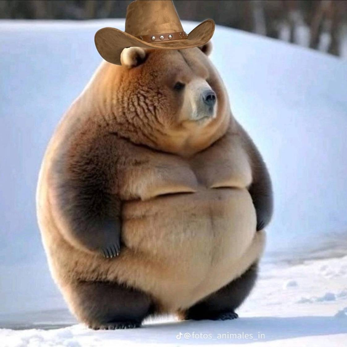 Бугорка Гаиньг или Баиньг