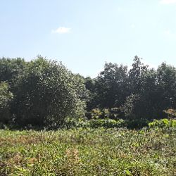 Александр К