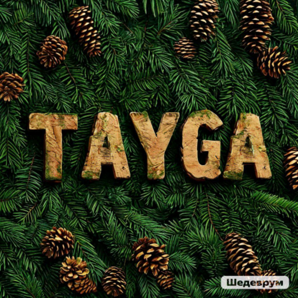 Автор на RuTube tayga
