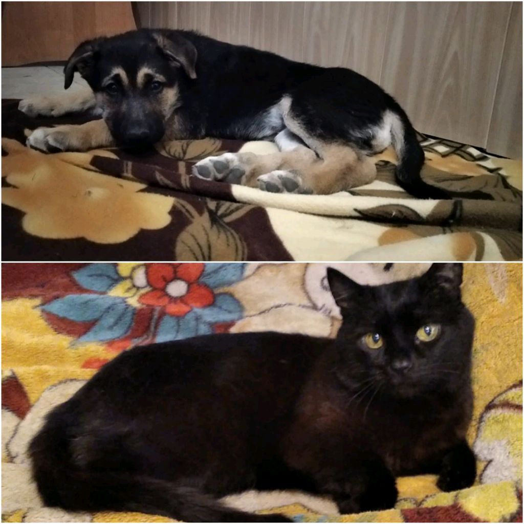 Киностудия 