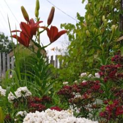 ВидеоТалант