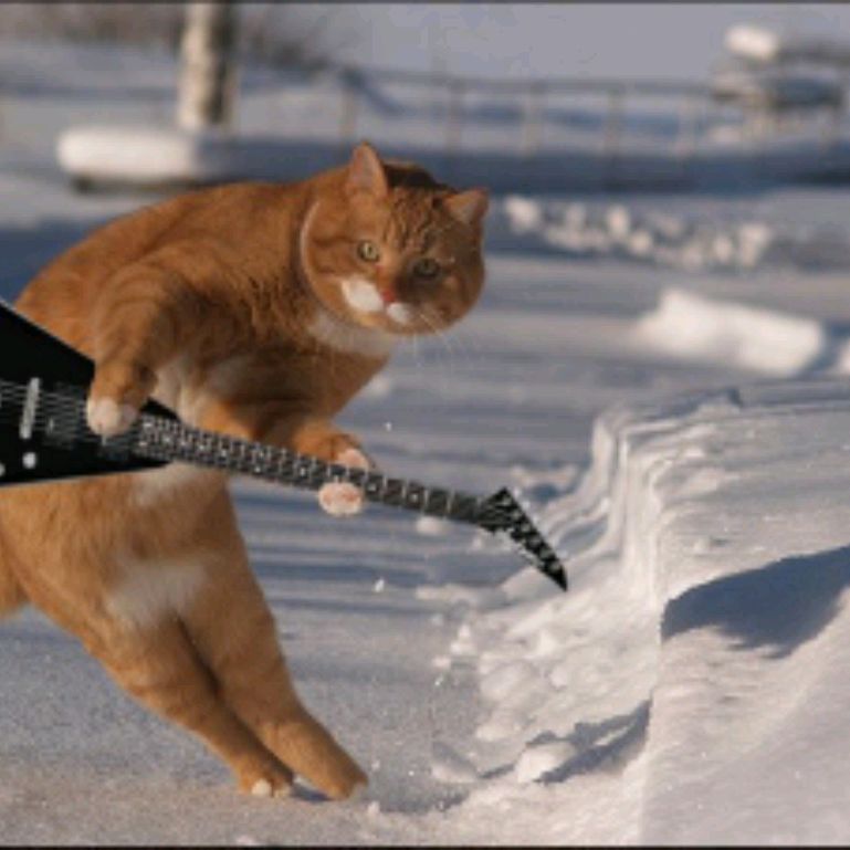 Котан Кирюха