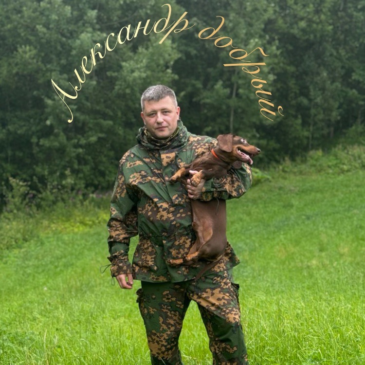 Александр добрый