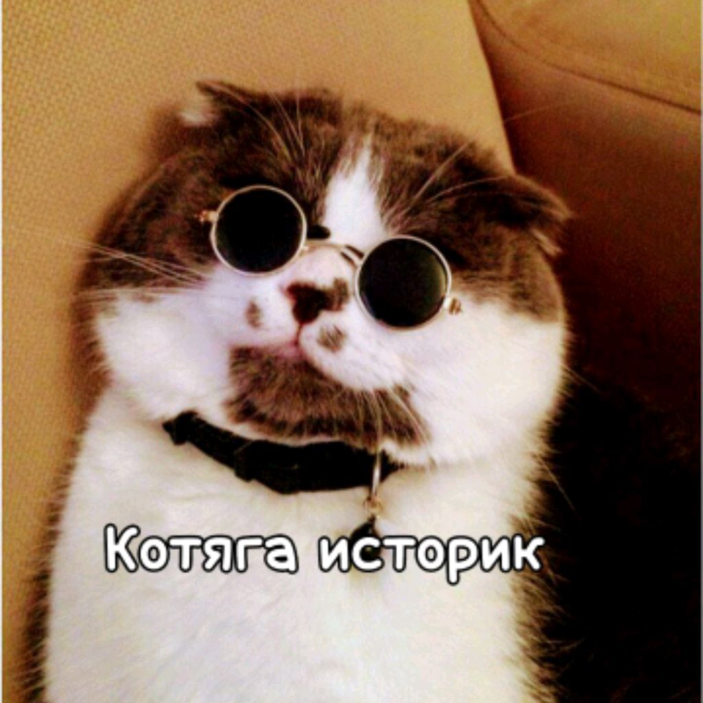 Котяга историк