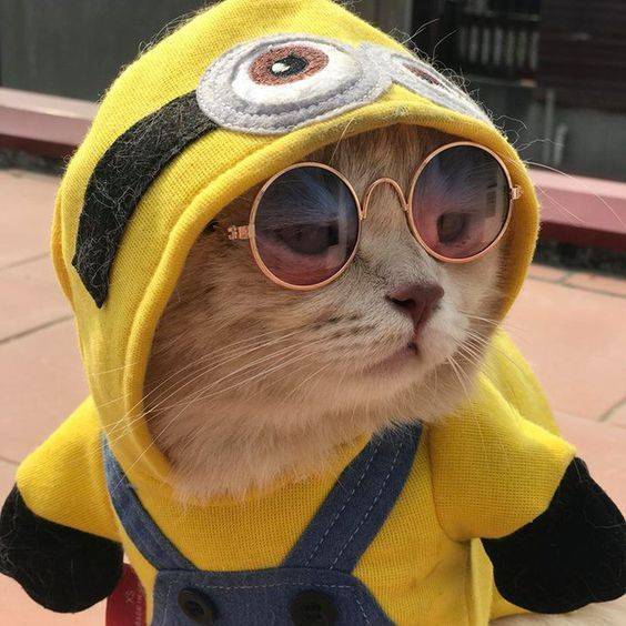 Мир позитива:)