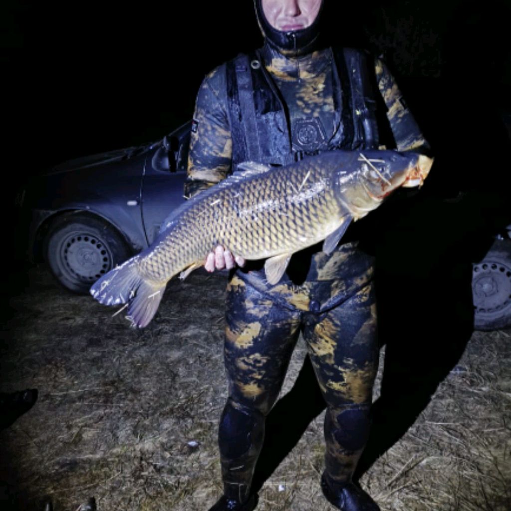 Ганенко Владислав