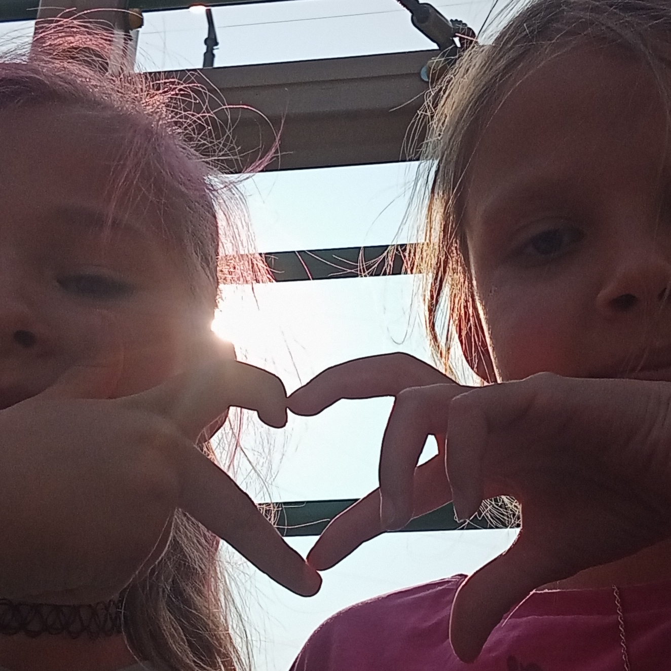 Котик Ксюша и Собачка Соня