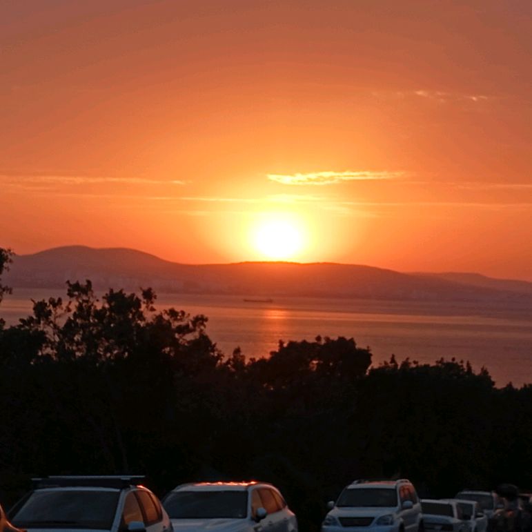 Рыбка Инженер