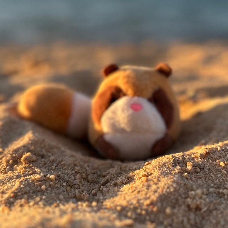 Оля кококоля