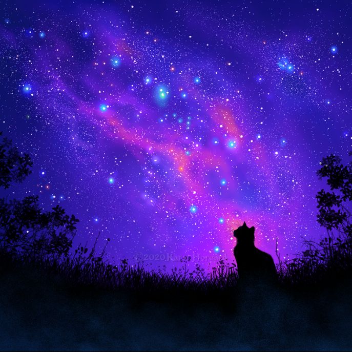 Разные видео Жени