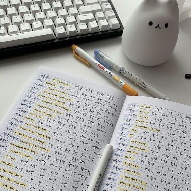 Корейский язык с нуля