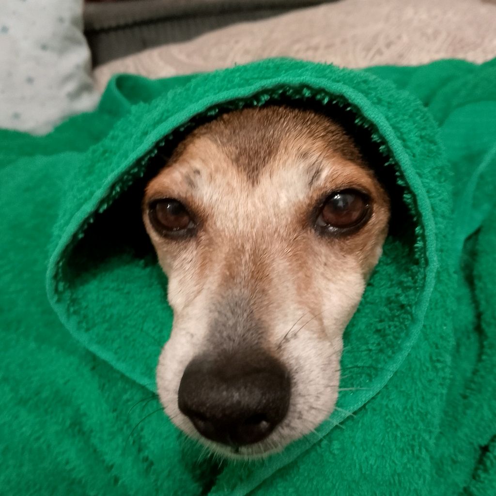 Кирилл Кузнецов