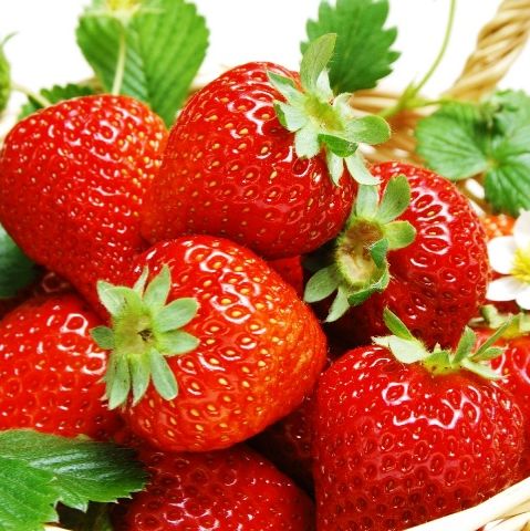 Познай сад и огород