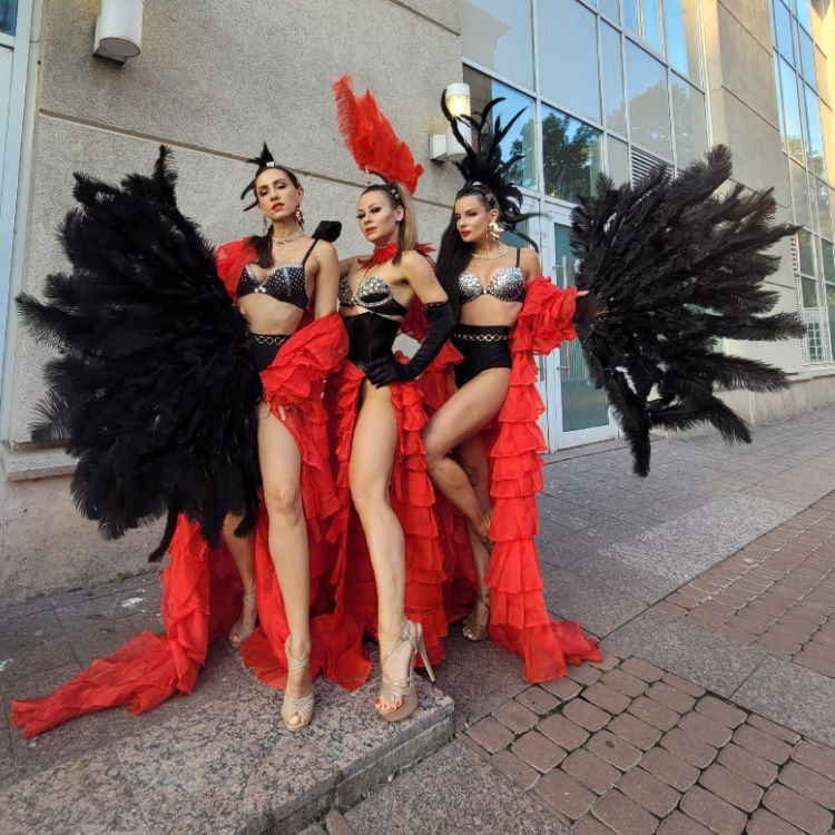 Шоу-балет Showbalet_trashart