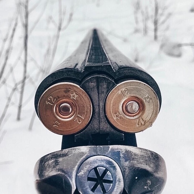 Тайны ВОЛОГОДСКОГО ЛЕСА