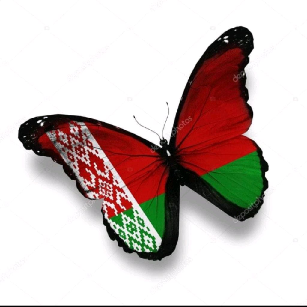 Флаг Белоруссии бабочка