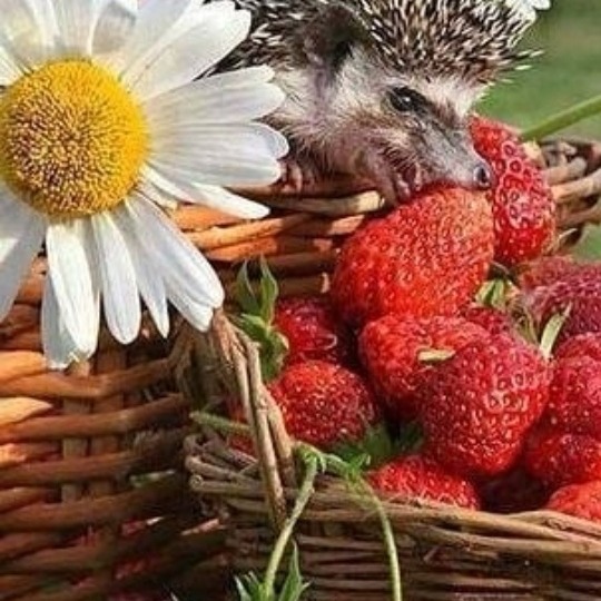 Обо всем по-ннмногу!