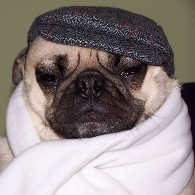 ВеликийНехочуха