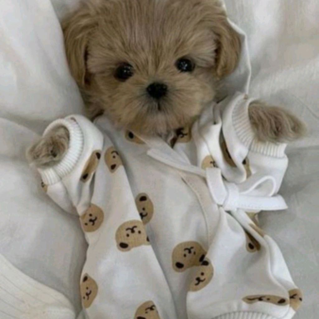 Верните ютуб