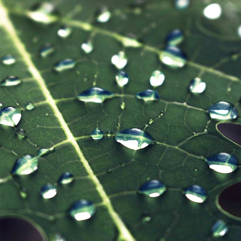 Автор на RuTube Nature Videos I Ambient Music
