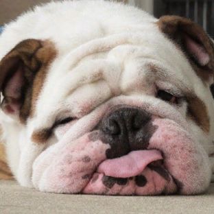 Привет) Я ИЛЮХА!