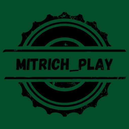 Автор на RuTube MitrichPlay