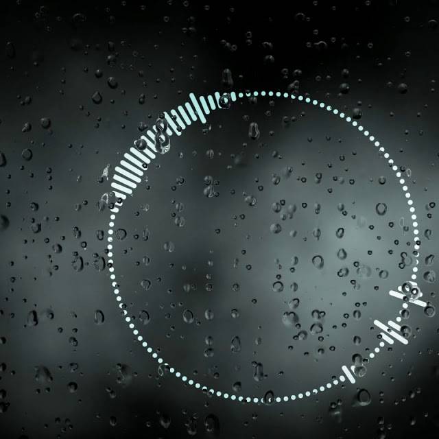 Вячеслав М.