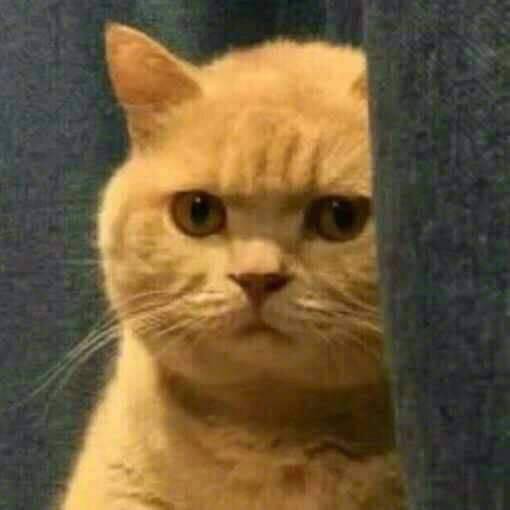 кабанчик интертейнмент