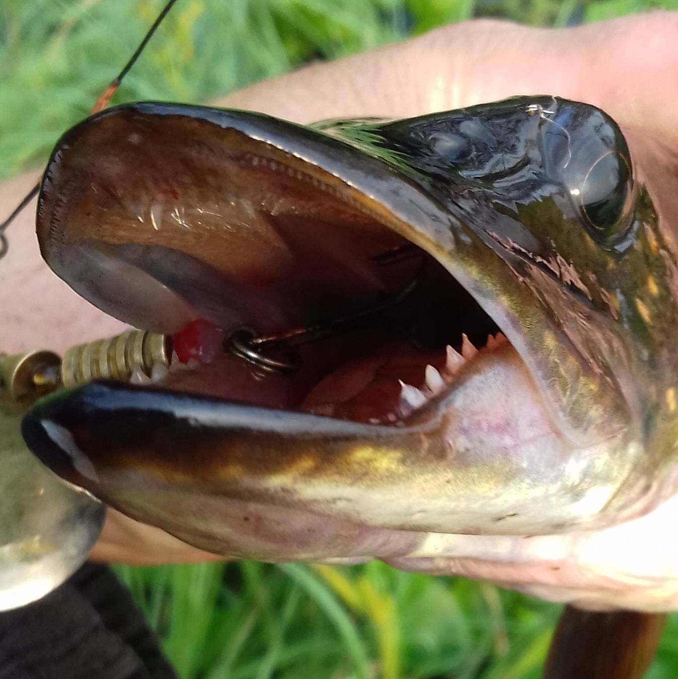 ПРИРОДА ТАЙГА РЫБАЛКА! РАЗВЛЕЧ