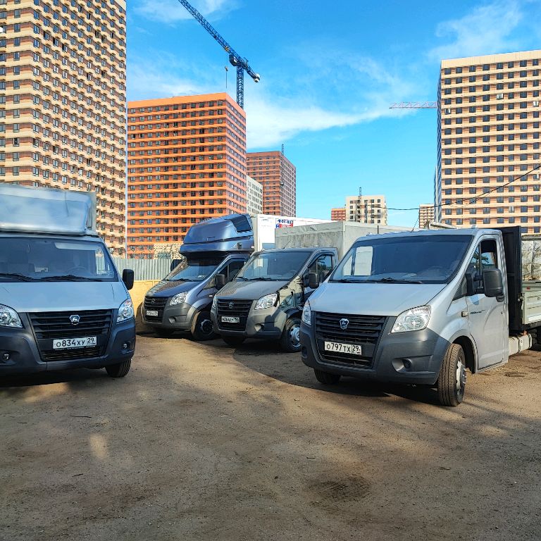 НИКОЛАЙ ШМЕЛЬ