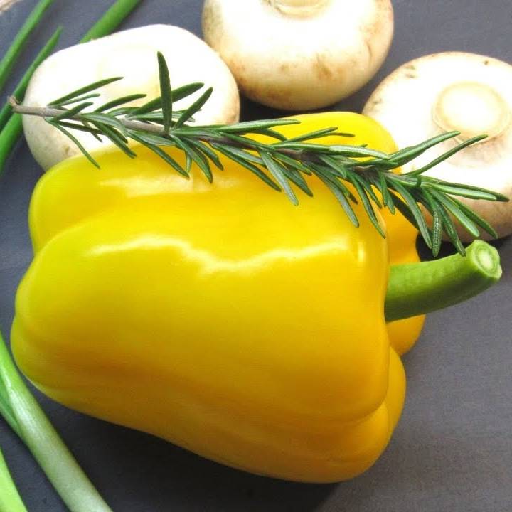 Автор на RuTube Кухня на изнанку
