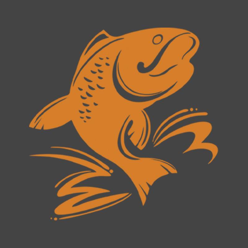 Аргентум Fishing