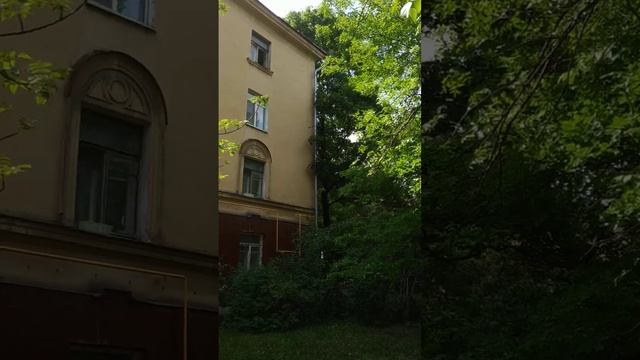 Петра-Романова. Май 2023.