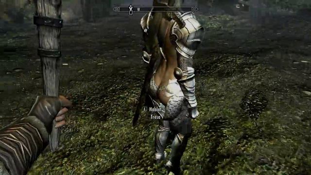 Enb series , Skyrim - OlroXs