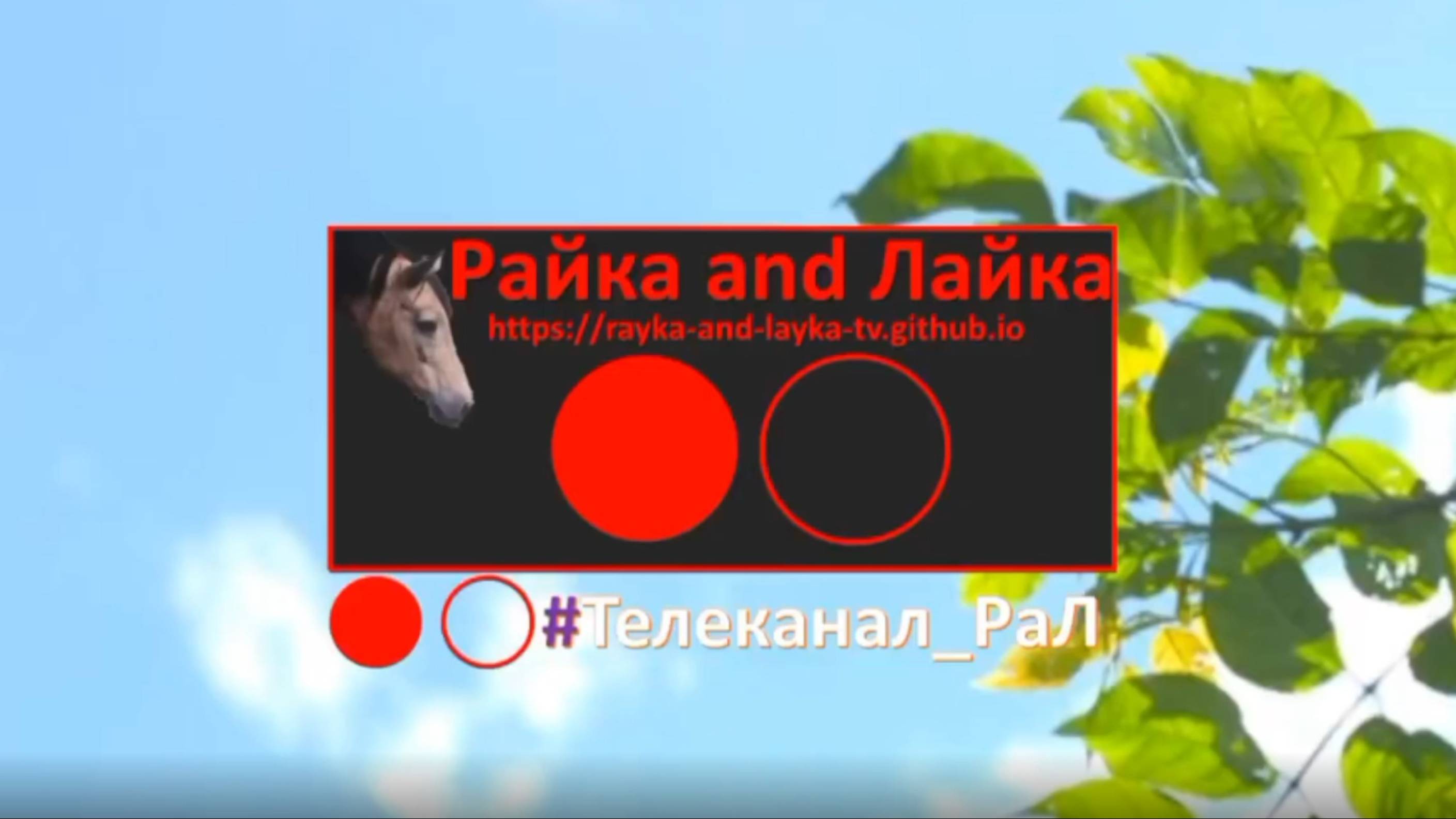 Прямой эфир интернет-телеканала "Райка and Лайка". ПРЕМЬЕРА! 18:00 МСК