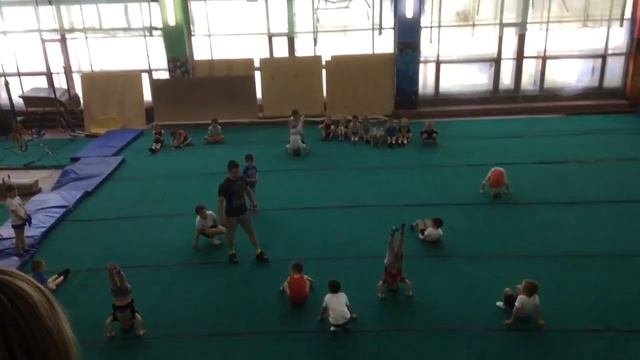 Соревнования по ОФП / Стойка на голове