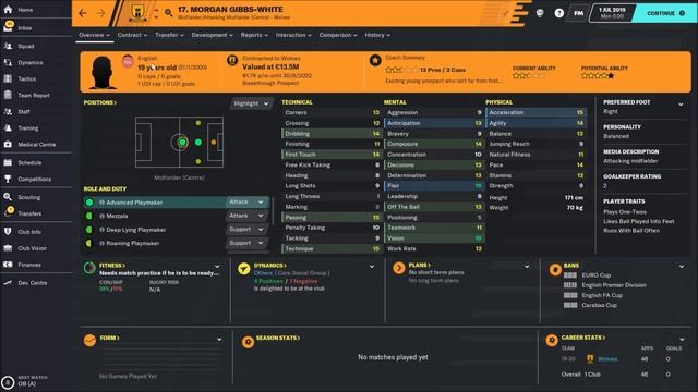 Wolves Team & Tactics Guide - Football Manager 2020 ( FM20 )