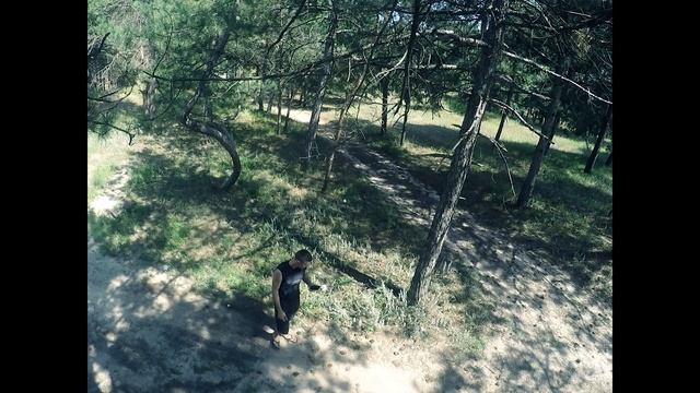 Ужас в Лесу