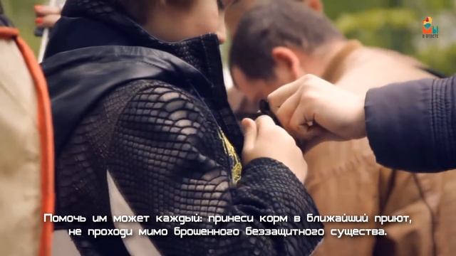 Проект "Мы в ответе"