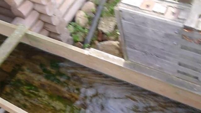 Водяная мельница в Коломенском