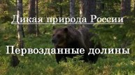 Дикая природа России - Первозданные долины