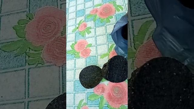 Обзор на чипсы из фикспрайса