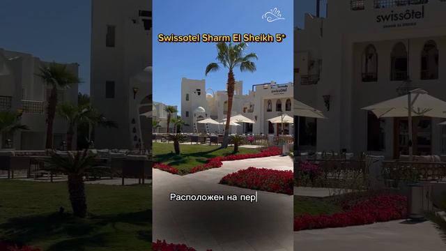 Новый отель в Египте 🔥🔥