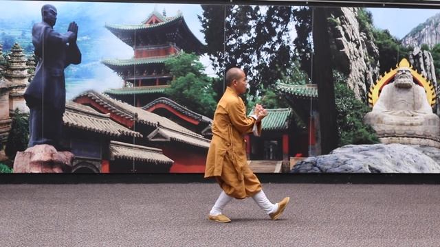 Shaolin Yi Jin Jing - Shi De Yang