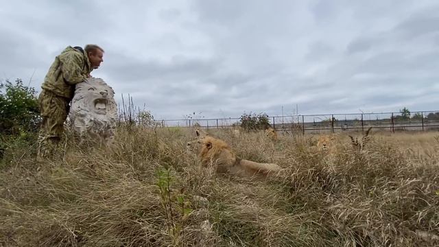 Молодые львы пришли НА МОГИЛУ ЛОРДА!