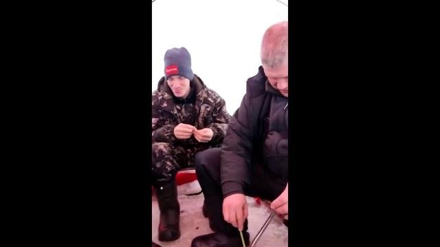 Кумикуш 2023