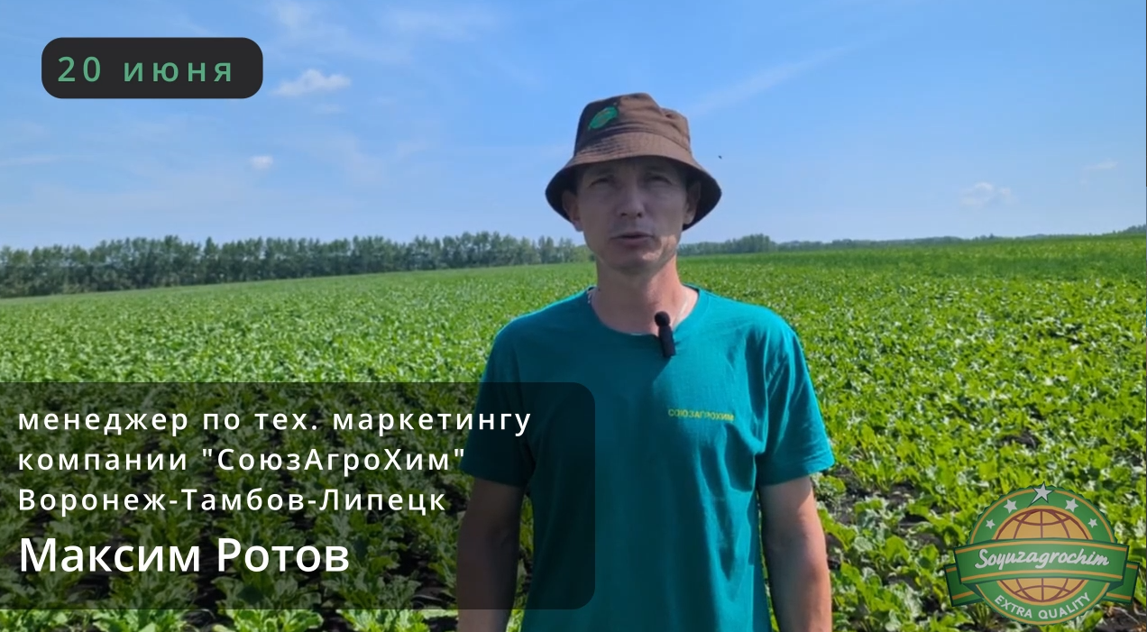 20 июня
Тамбовская обл. Умётский район
Защита сахарной свеклы от компании "СоюзАгроХим"