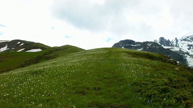Архыз (июнь 2014)