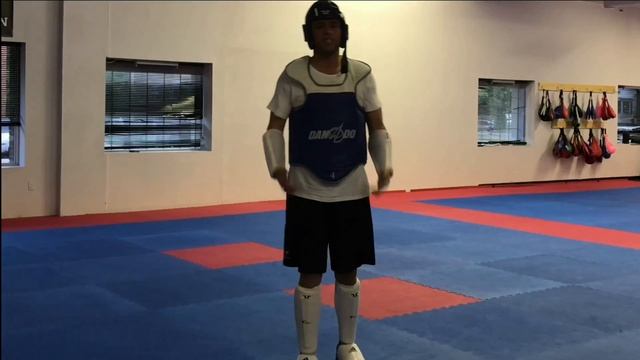 Product Review : TUSAH Special Edition WT Approved Forearm  Shin Guards